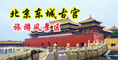 大鸡巴操大逼图画中国北京-东城古宫旅游风景区